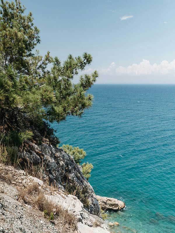 附加赛焦点战 ｜ 国足对阵巴黎，数据走势开始偏离预期，梅西掀起讨论，不少球迷开始复盘，不少人顺手点进了开云体育数据区